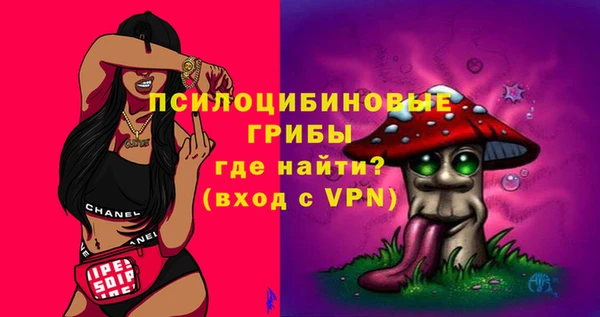 ешки Медвежьегорск