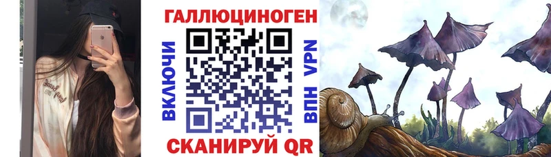 Галлюциногенные грибы Psilocybine cubensis  Купить  Сальск 